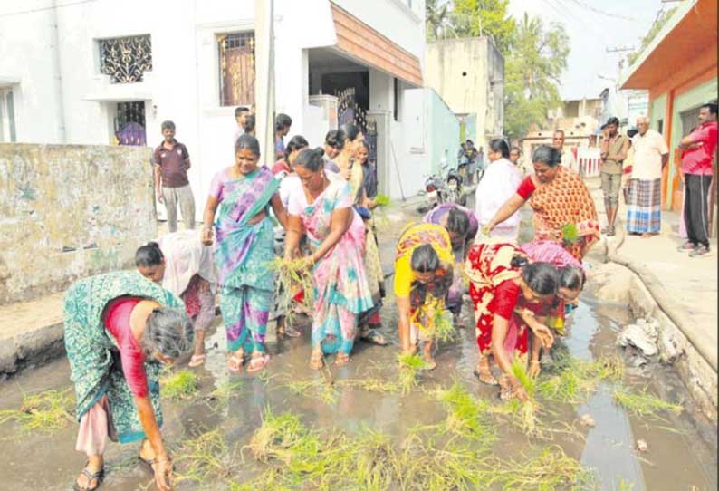 சாலையில் தேங்கி நின்ற கழிவுநீரில் நாற்று நடும் போராட்டம்