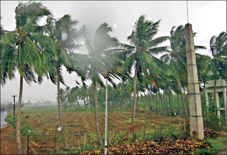 மாவட்டத்தில் பலத்த காற்றுடன் மழை