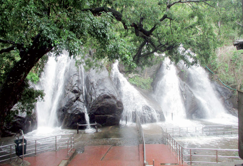 மேற்குத்தொடர்ச்சி மலைப்பகுதியில் பலத்த மழை: குற்றாலம் அருவிகளில் வெள்ளப்பெருக்கு சுற்றுலா பயணிகள் குளிக்க தடை