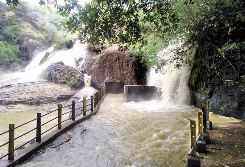 நீர்ப்பிடிப்பு பகுதியில் பலத்த மழை: சேர்வலாறு அணை நீர்மட்டம் ஒரே நாளில் 30 அடி உயர்வு