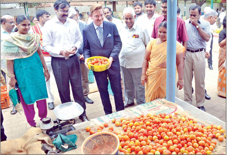 காய்கறி கழிவில் இருந்து மின்சாரம் தயாரிக்கும் திட்டம்