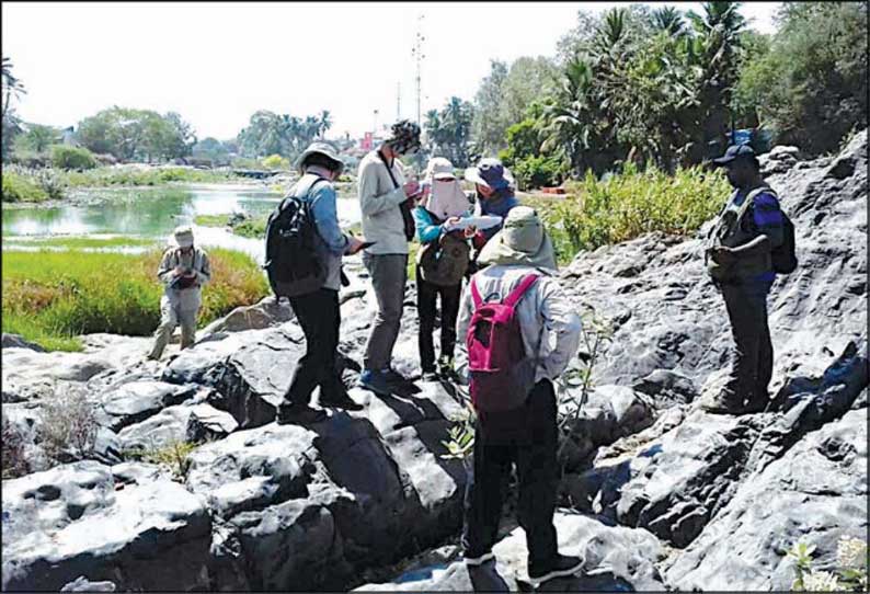 ஆத்தூர் பகுதியில் பாறைகளை ஆய்வு செய்த வெளிநாட்டு குழுவினரால் பரபரப்பு