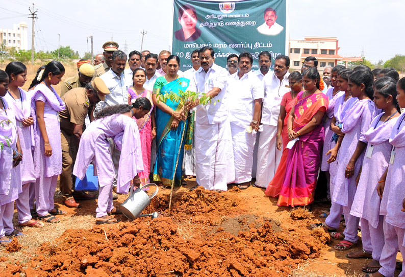 அரியலூரில் மரக்கன்றுகள் நடும் விழா அரசு தலைமை கொறடா தாமரை ராஜேந்திரன் தொடங்கி வைத்தார்