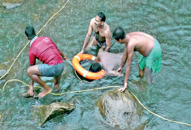 மறையூர் அருகே ஆற்றில் மூழ்கி வக்கீல் பலி நண்பர்களின் கண்முன்னே நடந்த பரிதாபம்