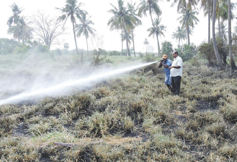 புதுக்கோட்டை நகராட்சிக்கு சொந்தமான புல் பண்ணையில் தீ விபத்து