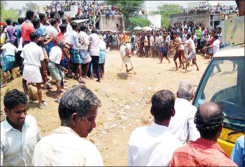 கண்ணமங்கலம் அருகே காளைவிடும் திருவிழா