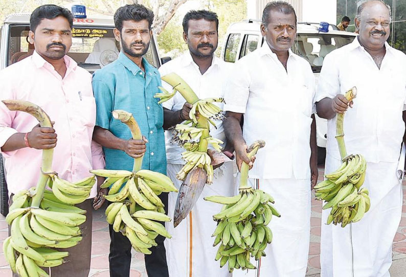 சூறைக்காற்றால் தாருடன் சாய்ந்த வாழைகளுக்கு ஏக்கருக்கு ரூ.3 லட்சம் இழப்பீடு வழங்க கோரி மனு