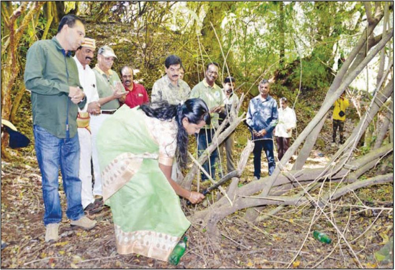 நீலகிரி வனப்பகுதிகளில் உள்ள களைச்செடிகளை அகற்ற நடவடிக்கை