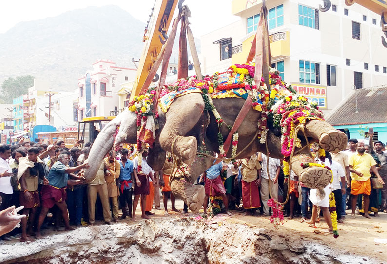 திருவண்ணாமலை அருணாசலேஸ்வரர் கோவில் யானை ருக்கு ‘திடீர்’ சாவு