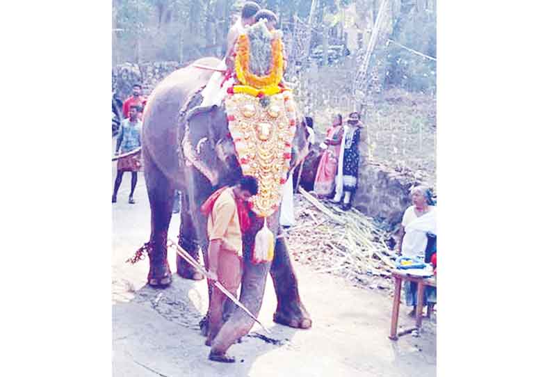 பாகனை, யானை மிதித்து கொன்றது கோவில் திருவிழா ஊர்வலத்தில் பயங்கரம்