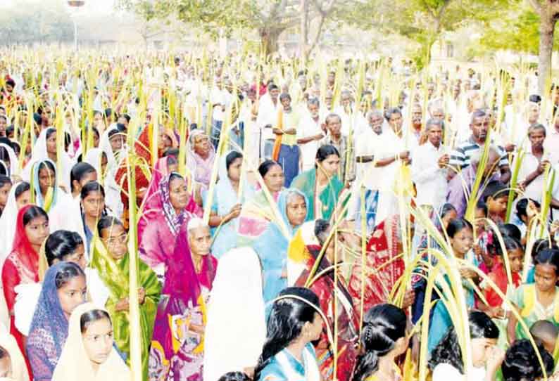 அரியலூர் மாவட்டத்தில் குருத்தோலை ஞாயிறையொட்டி கிறிஸ்தவர்கள் ஊர்வலம்