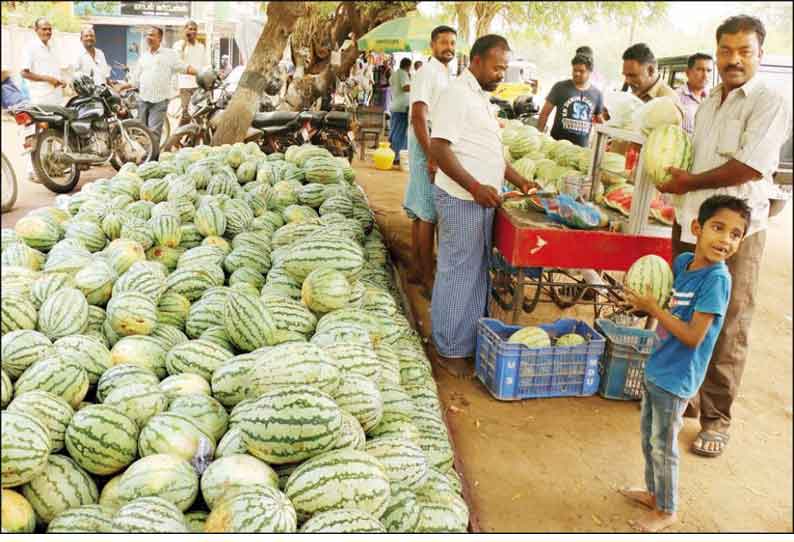 நெல்லையில் சுட்டெரிக்கும் வெயில் தர்பூசணி பழங்கள் விற்பனை அமோகம்