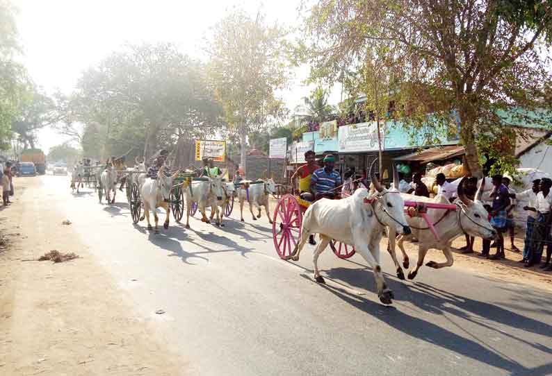 திருமயம் அருகே மாட்டு வண்டி பந்தயம்