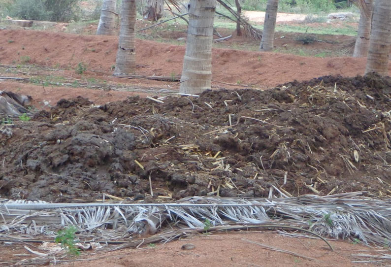 ஊருக்கு ஒரு உரத்தொழிற்சாலை