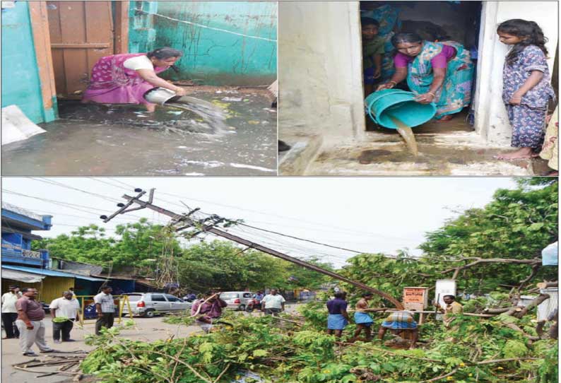 சேலம் மாவட்டத்தில் சூறைக்காற்றுடன் பலத்த மழை