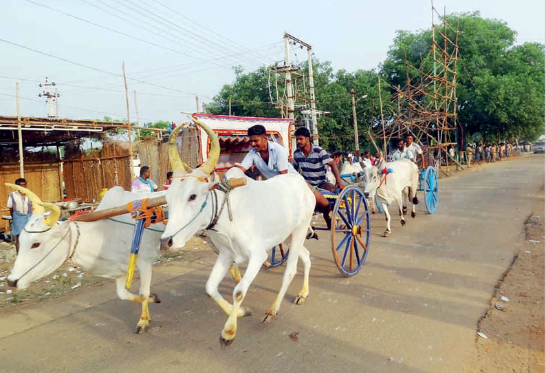 ஓட்டப்பிடாரம் அருகே மாட்டு வண்டி போட்டி