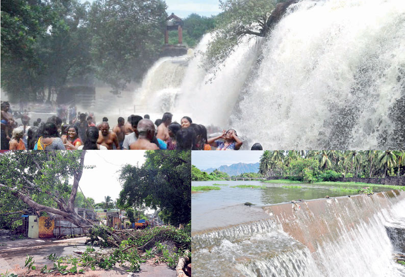 குமரி மாவட்டத்தில் கன மழை திற்பரப்பு அருவியில் வெள்ளம்