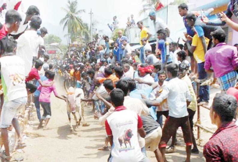 வல்லண்டராமம் கிராமத்தில் காளை விடும் விழாவில் மாடுகள் முட்டியதில் 17 பேர் காயம்