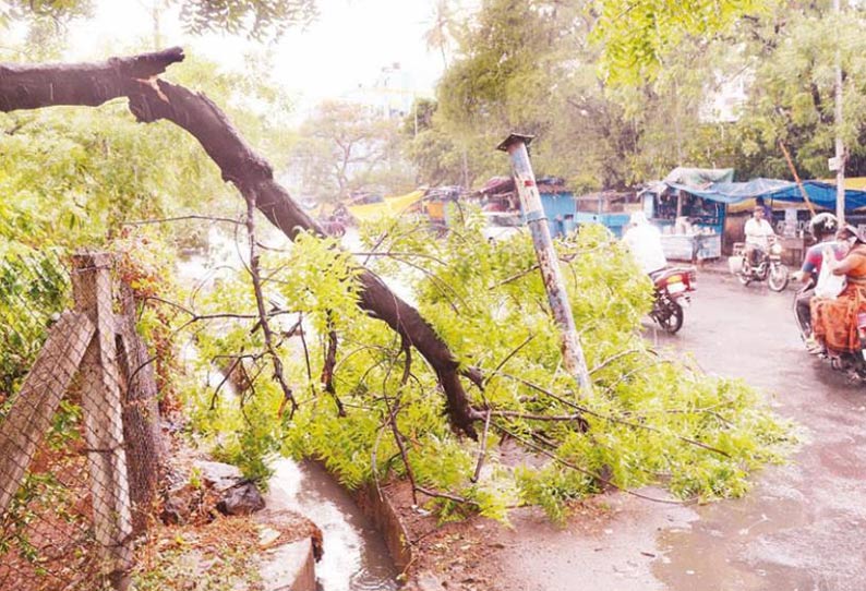 திருச்சி-சுற்று வட்டார பகுதிகளில் சூறைக்காற்றுடன் பலத்த மழை