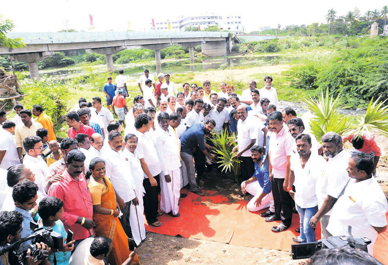 ‘பசுமை சைதை’ திட்டத்தின் கீழ் அடையாறு ஆற்றங்கரையோரம் 5 ஆயிரம் பனை மரக்கன்றுகள் நடப்பட்டன