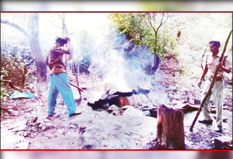 ஒடுகத்தூர் மலைப்பகுதியில் காட்டுப்பூனையை வேட்டையாடிய வாலிபர் கைது 2 பேர் தப்பி ஓட்டம்