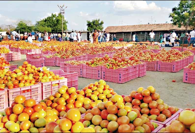 அய்யலூர் சந்தையில் தக்காளி விலை இரு மடங்கு உயர்வு