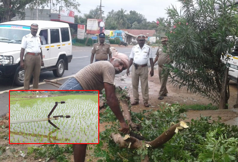 அரியலூரில் ‘கஜா’ புயலால் மரங்கள் சாய்ந்தன போக்குவரத்து பாதிப்பு