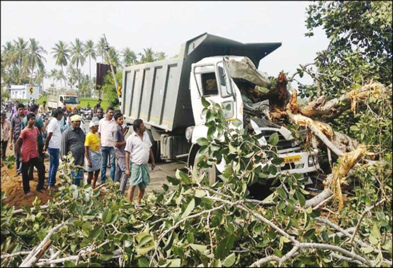 சிவகிரி அருகே லாரி மீது விழுந்த ஆலமரம் போக்குவரத்து பாதிப்பு