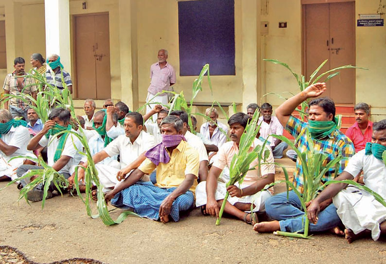 கோவில்பட்டியில் உதவி கலெக்டர் அலுவலகத்தை விவசாயிகள் முற்றுகை சோள பயிர்களுக்கு நிவாரணம் வழங்க கோரிக்கை