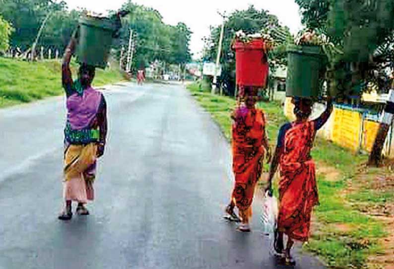 கட்டிவயல் ஊராட்சியில் குப்பையை தூய்மை காவலர்கள் தலையில் சுமக்கும் அவலம்