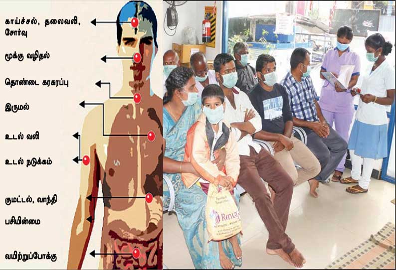 திருப்பூர் மாவட்டத்தில் வேகமாக பரவும் பன்றிக்காய்ச்சல்; அதிகரிக்கும் உயிர்பலிகள்