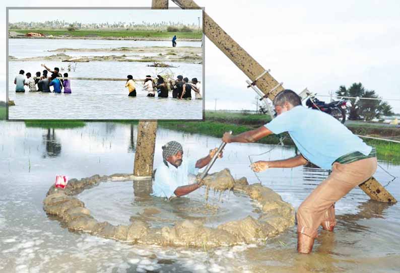 கஜா புயல் பாதித்த பகுதிகளில்: அடாத மழையிலும் விடாது பணியில் ஈடுபட்டுள்ள மின் ஊழியர்கள் - இடுப்பளவு தண்ணீரிலும் இறங்கி மின்கம்பங்களை நடுகிறார்கள்