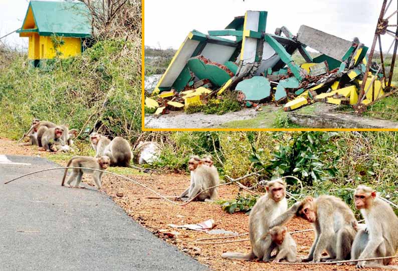 ‘அழிந்துபோன கோடியக்கரை சரணாலயம்’ - மனிதர்கள், மரங்களை மட்டுமல்லாது விலங்குகளையும் விட்டு வைக்காத ‘கஜா’