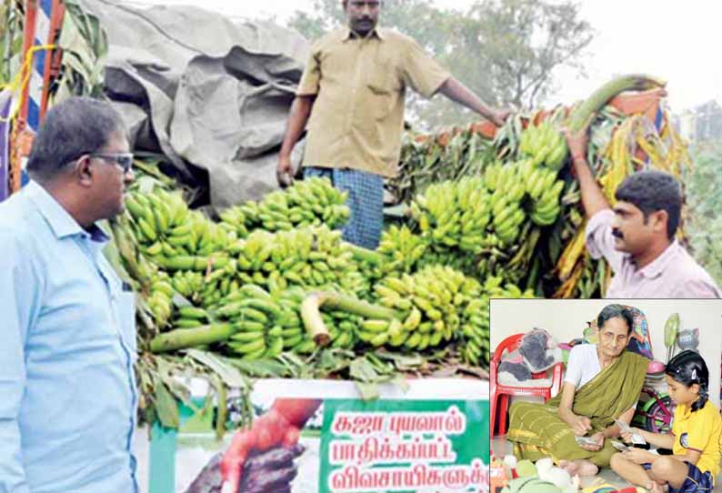 கஜா புயலால் பாதித்த பகுதிகளில் இருந்து வாங்கி வந்து வாழைத்தார்களை விற்று விவசாயிகளுக்கு நிதி உதவி - உண்டியலில் சேமித்த பணத்தை சிறுமி வழங்கினார்