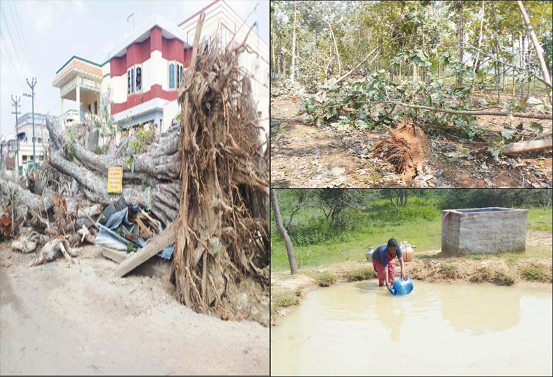 கஜா புயலால் பாதிக்கப்பட்ட பொன்னமராவதி பகுதியில் குடிநீர் இன்றி பொதுமக்கள் தவிப்பு