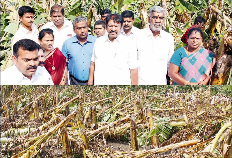 லால்குடி, மண்ணச்சநல்லூர் பகுதிகளில் ‘கஜா’ புயலால் சாய்ந்த வாழைகளை அமைச்சர்கள் ஆய்வு