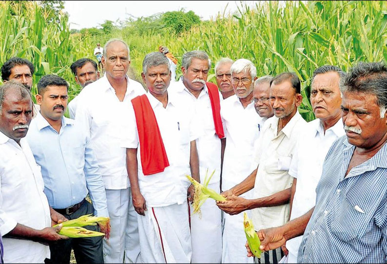 அமெரிக்க படைப்புழுவால் பாதிப்பு: மக்காச்சோள பயிருக்கு ஏக்கருக்கு ரூ.25 ஆயிரம் இழப்பீடு - தமிழ்நாடு விவசாய சங்கம் வலியுறுத்தல்