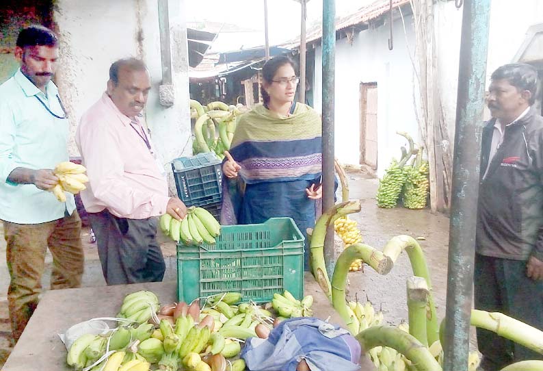 கரூர் காமராஜர் மார்க்கெட்டில் ரசாயன கலவை பயன்படுத்தி பழுக்க வைத்த 1 டன் வாழைப்பழங்கள் பறிமுதல்