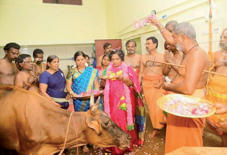 தமிழிசை சவுந்தரராஜன் பங்கேற்பு நெல்லை எட்டெழுத்து பெருமாள் கோவிலில் கோ பூஜை