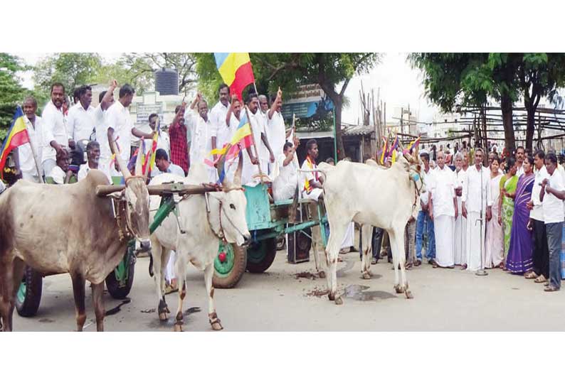 பெட்ரோல் –டீசல் விலை உயர்வை கண்டித்து பா.ம.க.வினர் ஆர்ப்பாட்டம்