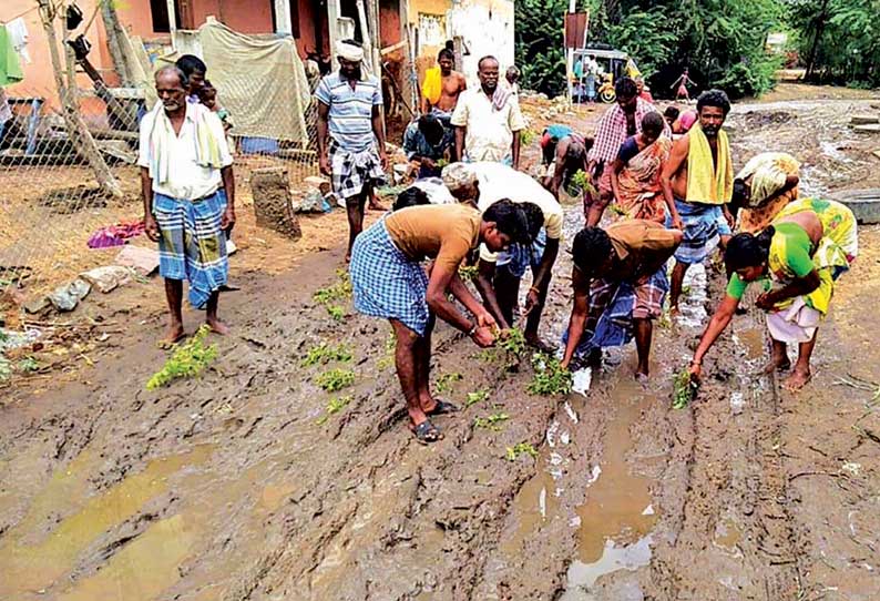 சாலையில் நாற்றுநட்டு கிராம மக்கள் போராட்டம்