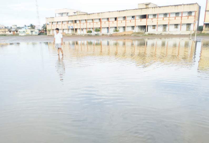 கோட்டைப்பட்டினம், திருவரங்குளத்தில் பலத்த மழை மின்னல் தாக்கி பசுமாடு சாவு