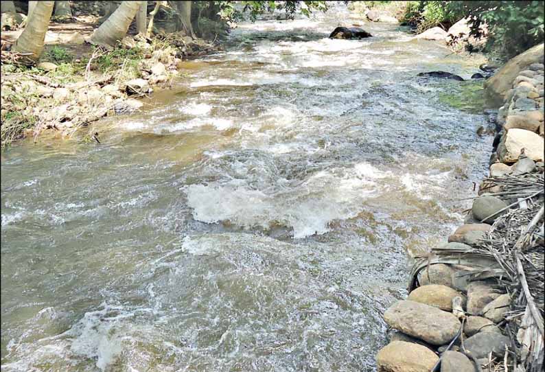 மருதாநதி அணை நீர்மட்டம் உயர்வு விவசாயிகள் மகிழ்ச்சி