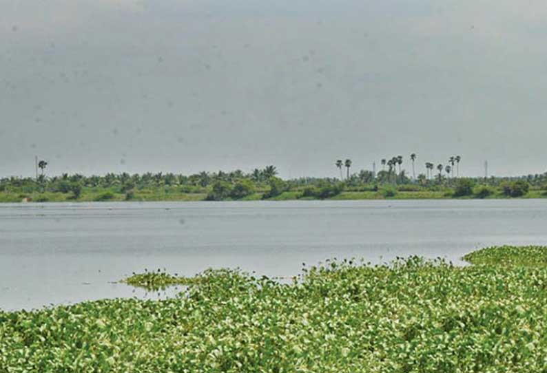 சிங்காநல்லூர் குளக்கரையில் நடைபாதை வசதி; சிலைகள் கரைக்க, மீன்பிடிக்க தடை விதிக்க முடிவு