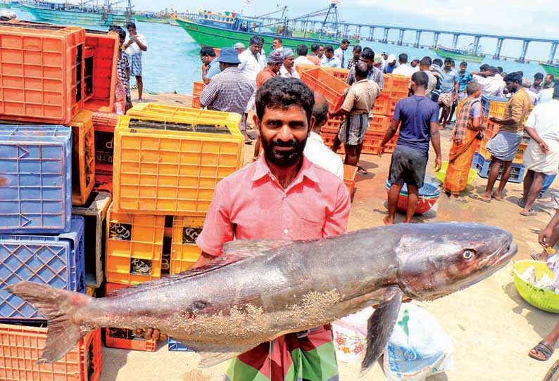 வெளிமாவட்ட மீனவர்களை மீன்பிடிக்க அனுமதிக்கக்கூடாது; கலெக்டரிடம் மனு