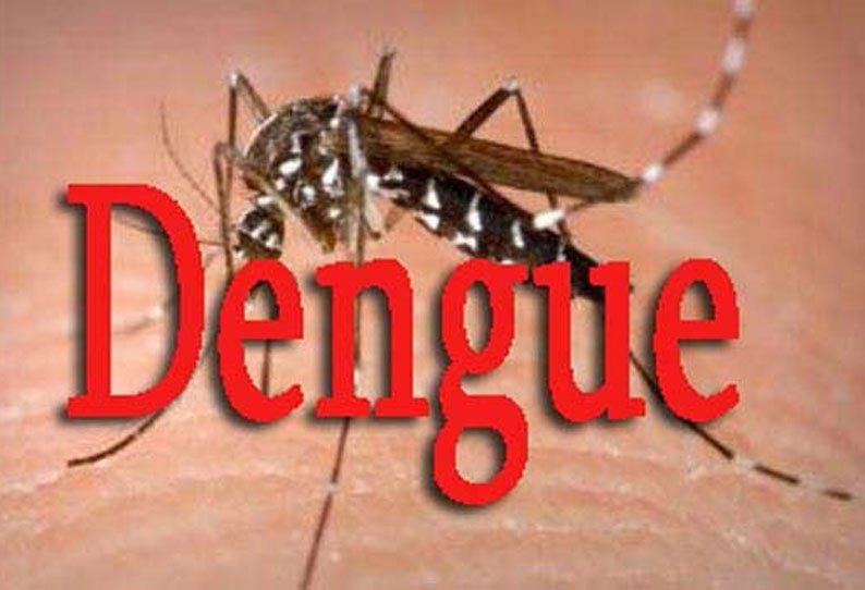 Adis by mosquitoes Dengue fever spread in Chennai In government