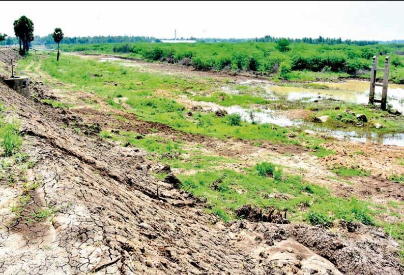 கால்வாயை சீரமைத்து மடப்புரம் கண்மாயில் தண்ணீர் நிரப்ப கோரிக்கை