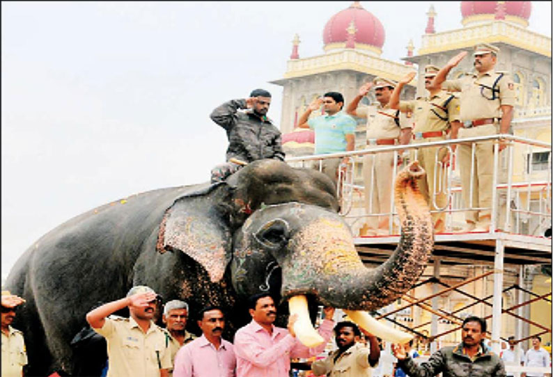 ஜம்பு சவாரி ஊர்வலம் நடக்கும் தினத்தன்று மைசூரு அரண்மனையில் ரத்தம் சிந்தும் சண்டை போட்டி