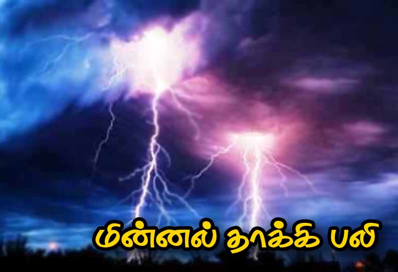 உளுந்தூர்பேட்டை அருகே: மின்னல் தாக்கி பெண் பலி