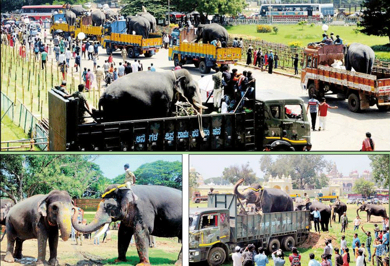 மைசூரு அரண்மனையில் இருந்து லாரிகள் மூலம் 9 தசரா யானைகள் முகாம்களுக்கு திரும்பின